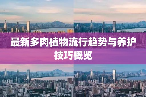 最新多肉植物流行趋势与养护技巧概览