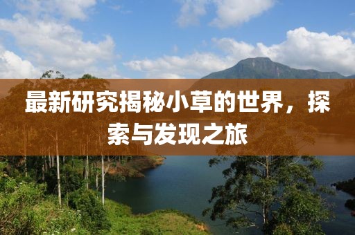 最新研究揭秘小草的世界，探索与发现之旅