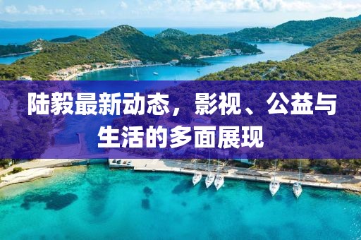 陆毅最新动态，影视、公益与生活的多面展现
