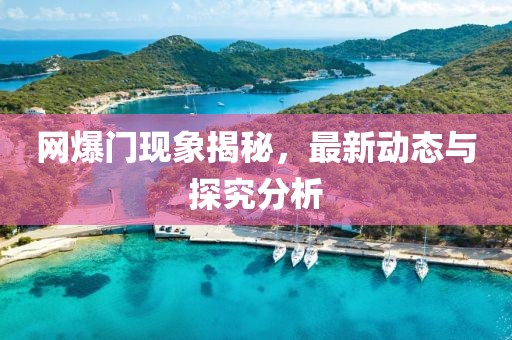 网爆门现象揭秘，最新动态与探究分析