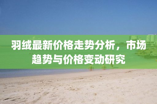 羽绒最新价格走势分析，市场趋势与价格变动研究