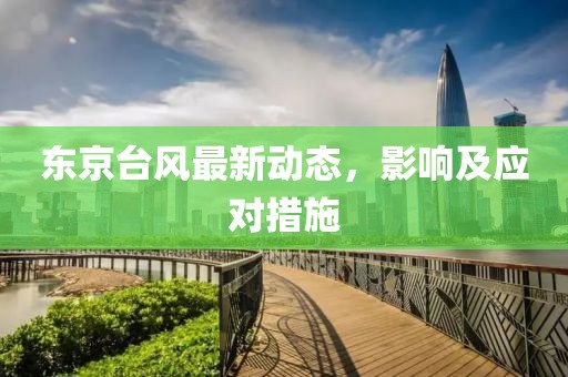 东京台风最新动态，影响及应对措施