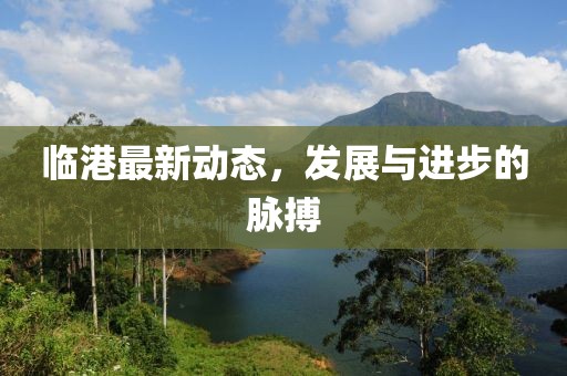 临港最新动态，发展与进步的脉搏