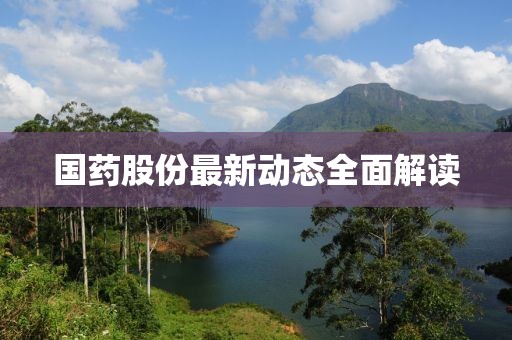 国药股份最新动态全面解读
