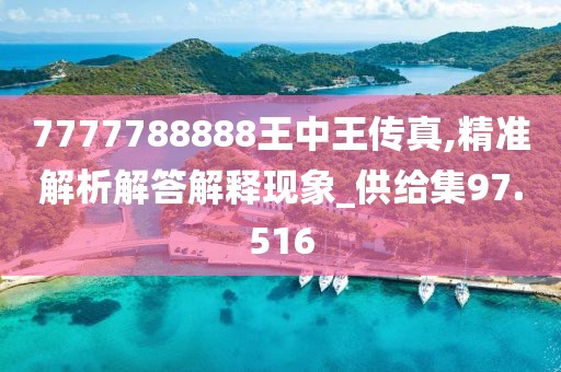 7777788888王中王传真,精准解析解答解释现象_供给集97.516