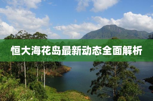 恒大海花岛最新动态全面解析
