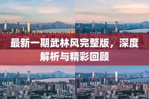 最新一期武林风完整版，深度解析与精彩回顾