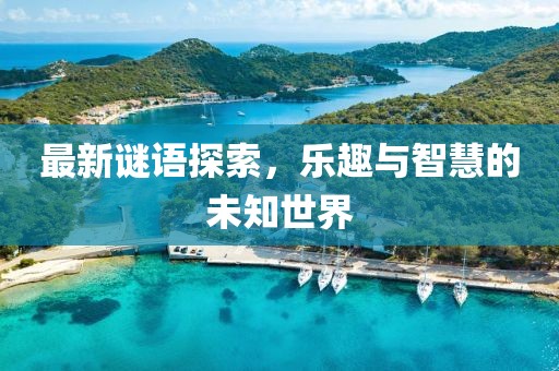 最新谜语探索，乐趣与智慧的未知世界