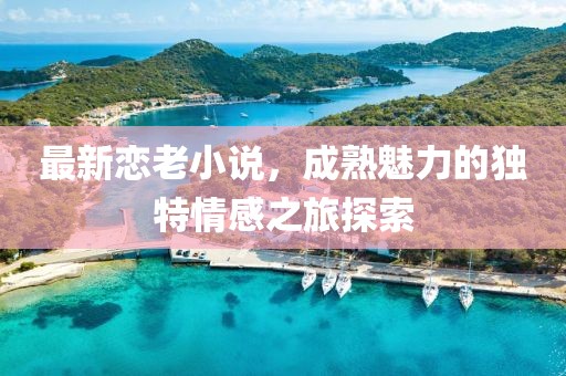 最新恋老小说，成熟魅力的独特情感之旅探索