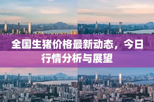 全国生猪价格最新动态，今日行情分析与展望