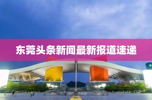 东莞头条新闻最新报道速递