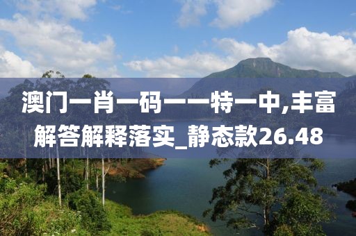 澳门一肖一码一一特一中,丰富解答解释落实_静态款26.48