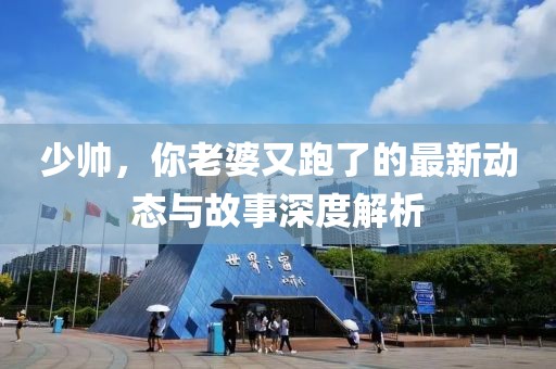 少帅，你老婆又跑了的最新动态与故事深度解析