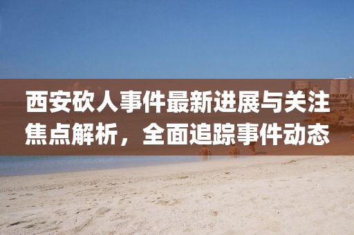 西安砍人事件最新进展与关注焦点解析，全面追踪事件动态