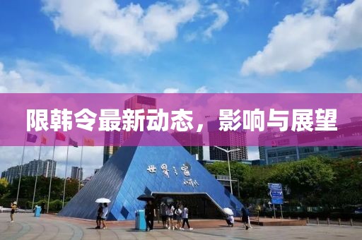 限韩令最新动态，影响与展望