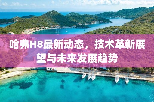 哈弗H8最新动态，技术革新展望与未来发展趋势