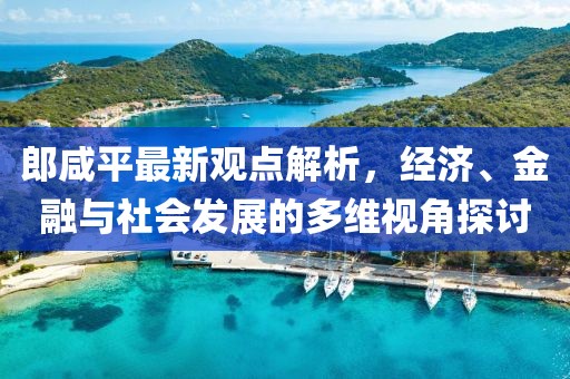 郎咸平最新观点解析，经济、金融与社会发展的多维视角探讨