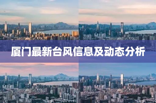厦门最新台风信息及动态分析