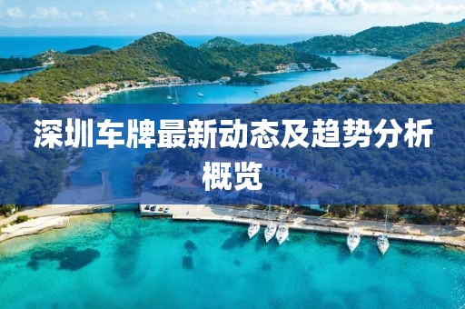 深圳车牌最新动态及趋势分析概览
