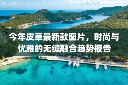 今年皮草最新款图片，时尚与优雅的无缝融合趋势报告