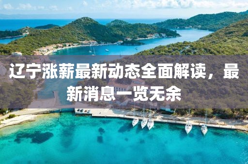 辽宁涨薪最新动态全面解读，最新消息一览无余