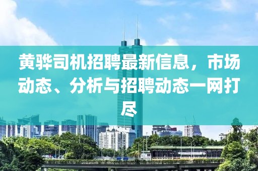 黄骅司机招聘最新信息，市场动态、分析与招聘动态一网打尽