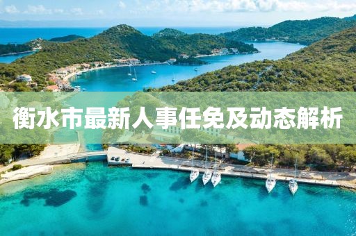 衡水市最新人事任免及动态解析