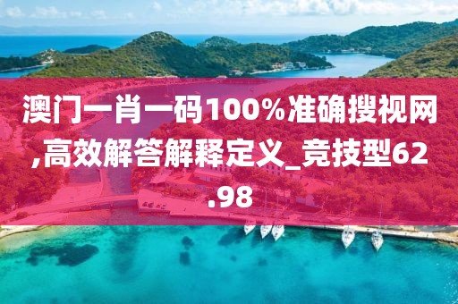 澳门一肖一码100%准确搜视网,高效解答解释定义_竞技型62.98