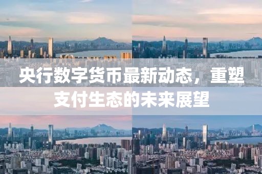 央行数字货币最新动态，重塑支付生态的未来展望
