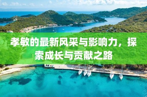 孝敏的最新风采与影响力，探索成长与贡献之路