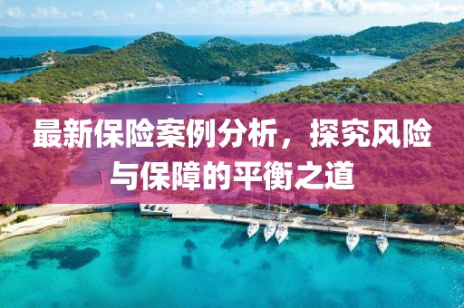 最新保险案例分析，探究风险与保障的平衡之道