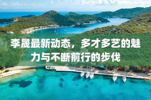 李晟最新动态，多才多艺的魅力与不断前行的步伐