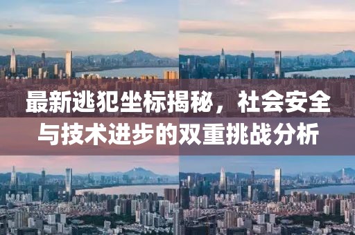 最新逃犯坐标揭秘，社会安全与技术进步的双重挑战分析