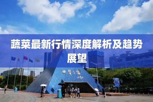 蔬菜最新行情深度解析及趋势展望