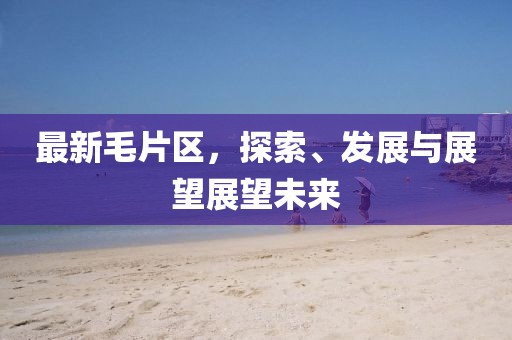 最新毛片区，探索、发展与展望展望未来