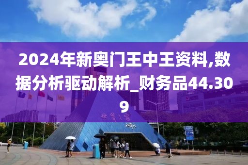 2024年新奥门王中王资料,数据分析驱动解析_财务品44.309