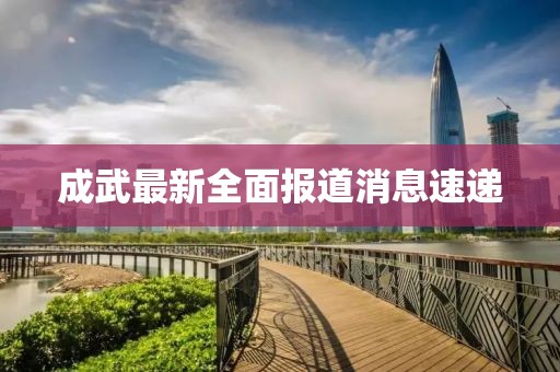 成武最新全面报道消息速递