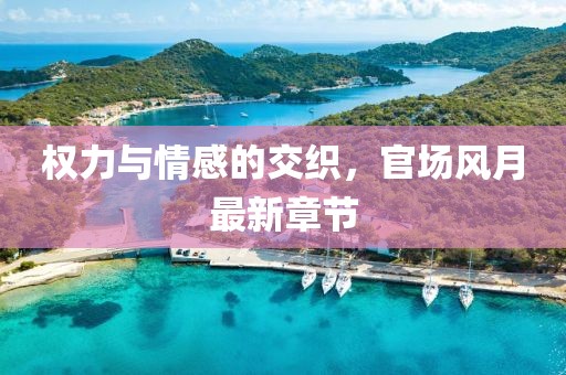 权力与情感的交织，官场风月最新章节