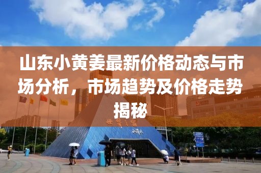 山东小黄姜最新价格动态与市场分析，市场趋势及价格走势揭秘
