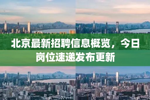 北京最新招聘信息概览，今日岗位速递发布更新