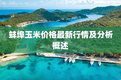 蚌埠玉米价格最新行情及分析概述