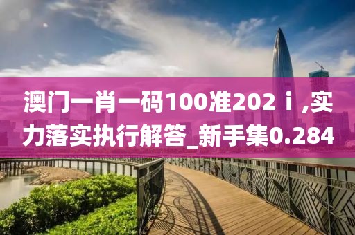 澳门一肖一码100准202ⅰ,实力落实执行解答_新手集0.284