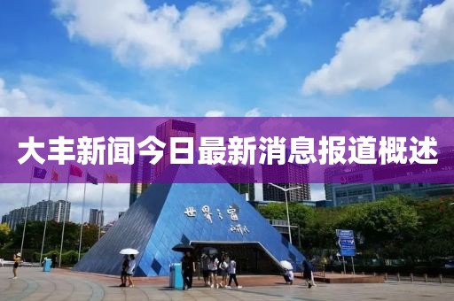 大丰新闻今日最新消息报道概述