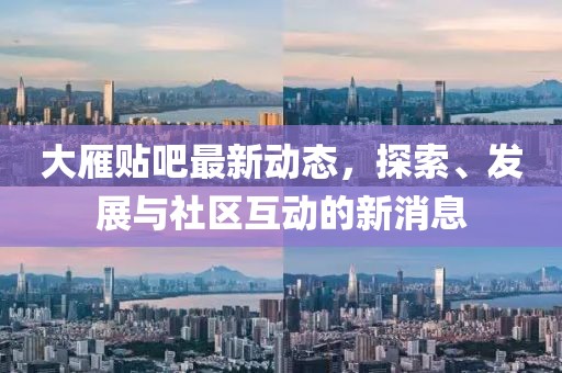 大雁贴吧最新动态，探索、发展与社区互动的新消息