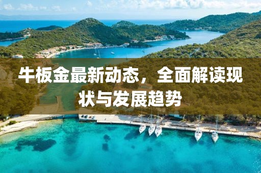 牛板金最新动态，全面解读现状与发展趋势
