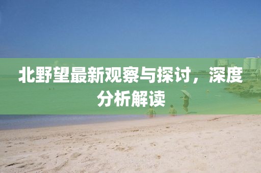 北野望最新观察与探讨，深度分析解读