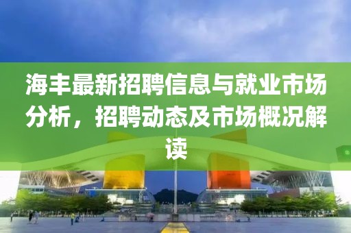 海丰最新招聘信息与就业市场分析，招聘动态及市场概况解读