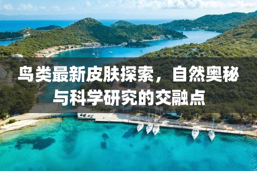 鸟类最新皮肤探索，自然奥秘与科学研究的交融点