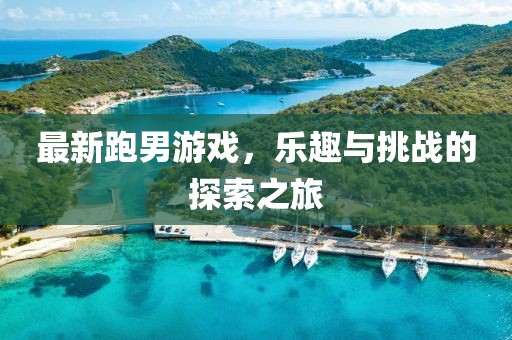 最新跑男游戏，乐趣与挑战的探索之旅