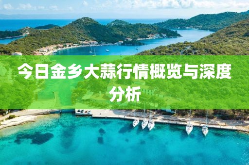 今日金乡大蒜行情概览与深度分析